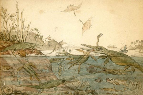 An oil painting of a made up Jurassic Scene. Imagined reptiles and creatures are flying, swimming and walking in the scene and one long necked marine reptile is eating another. 