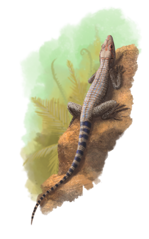 Feralisaurus corami artwork