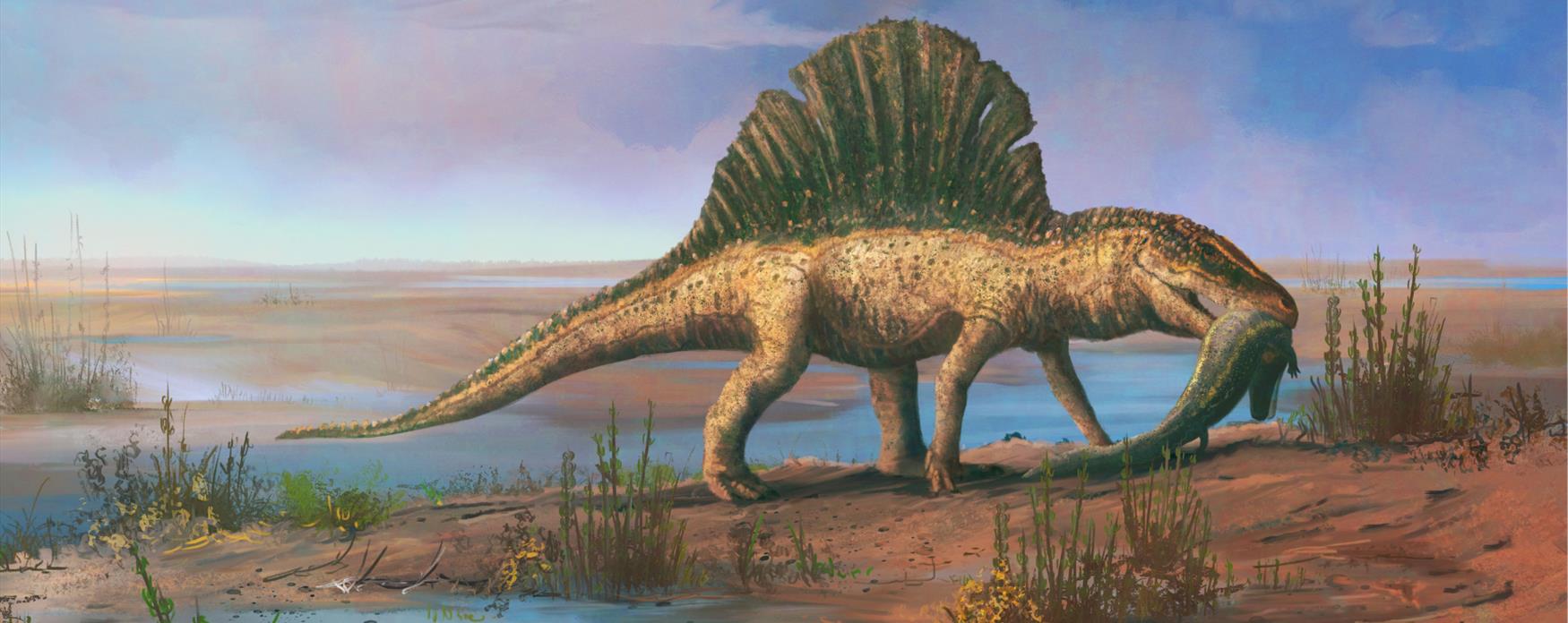 Arizonasaurus artwork