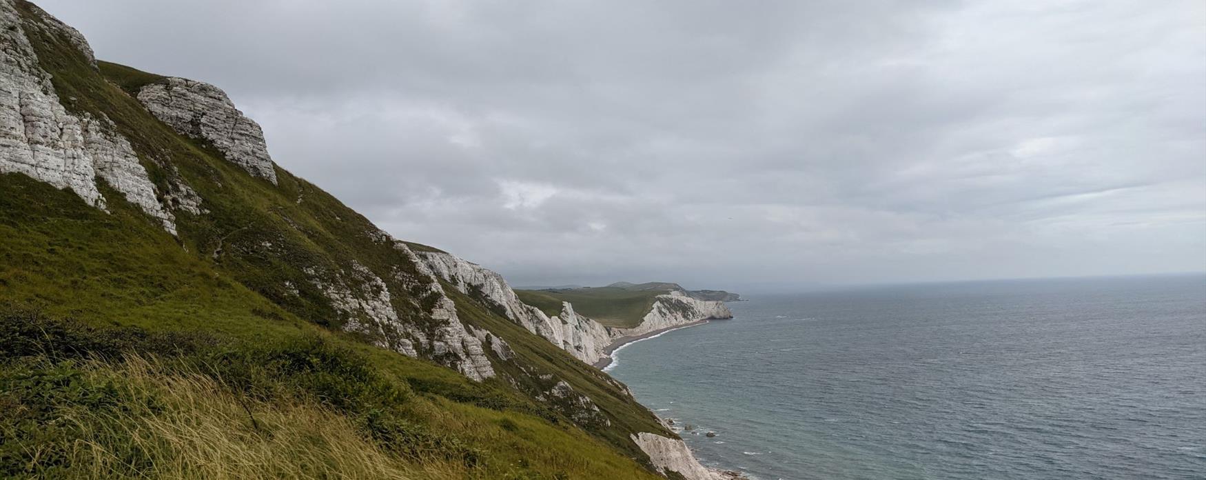 A close up of grassy cliffs on the left side of the image. Under the grassy vegetation, the chalk cliffs are bright white. The sky above is grey and stormy. The sea on the right of the image reflects the grey clouds.