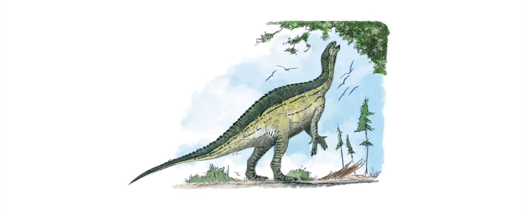 Iguanodontids artwork
