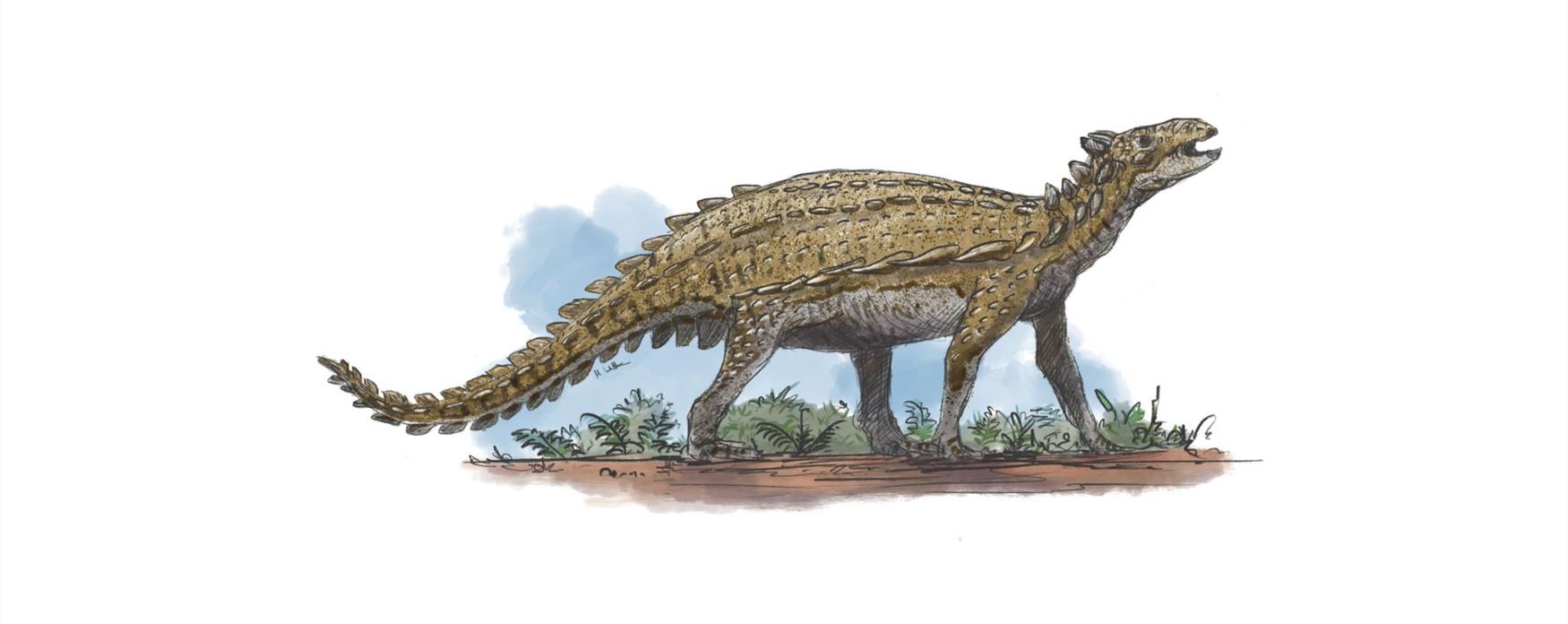 Scelidosaurus artwork