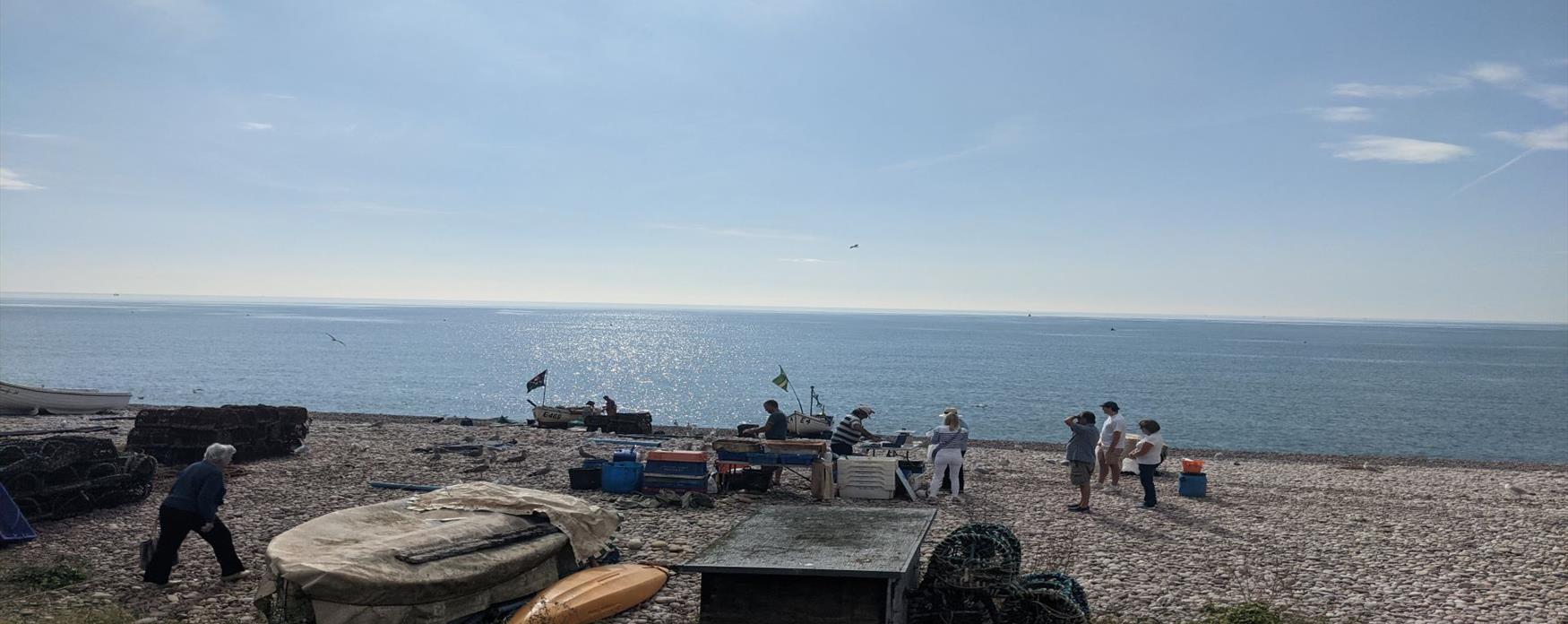 People gather around local fisherman preparing fish on a pebble beach in East Devon. The sun is shining. The seaside town extends off into the distance on the left side and the sea glistens in the sun on the right.