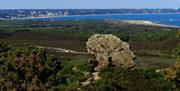 A view of Shell Bay from Studland Heath.